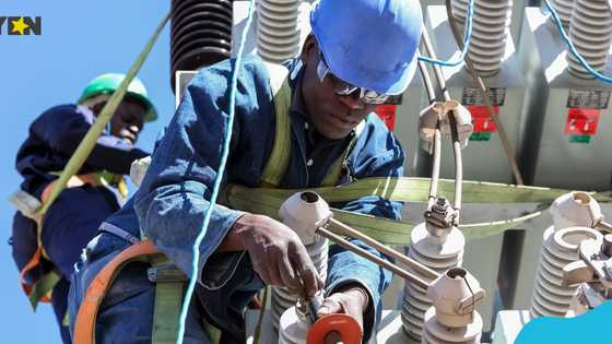 ASEC calls on government to privatise parts of ECG's operations