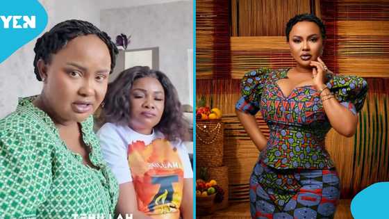 Ohemaa Mercy makes bold declaration about McBrown that has got people talking