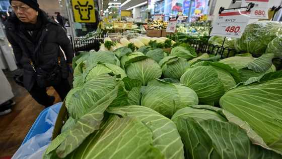 Japan's core inflation rate hits 3.2% in January