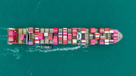 China's trade surplus tops $1 trillion despite plunge in US-bound exports