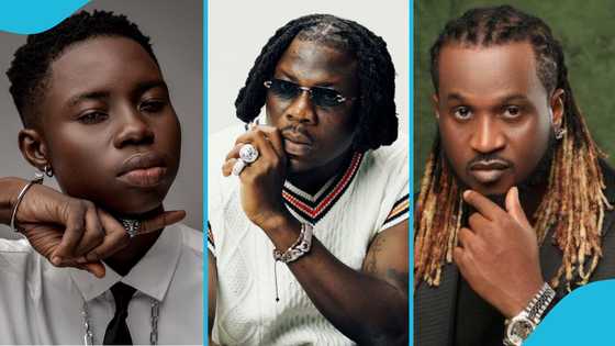 Peller Complains About Stonebwoy to Rudeboy, Says, "He's Fighting Me"