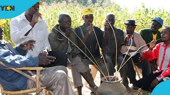 Ghana Drunkards Association gives government 3-week ultimatum to reduce alcohol prices
