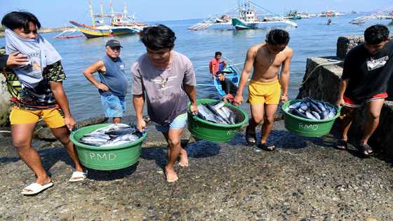 Filipinos fishing on frontline of China's battle for disputed sea