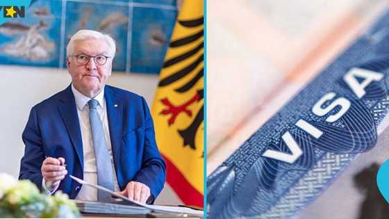 Germany lists 4 categories of foreigners who can get permanent residence faster