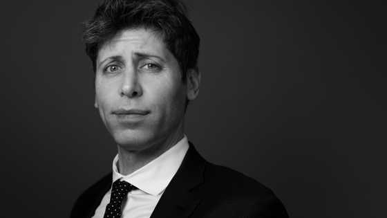 Copyright questions loom as ChatGPT's Ghibli-style images go viral