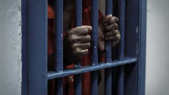 5 Ghanaians arrested in Dubai for trafficking 'wee'; 1 person already jailed 10 years