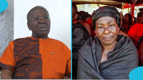 Akosua Serwaa’s brother debunks false claims over Daddy Lumba’s funeral arrangements