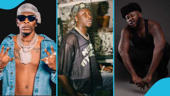 Medikal hypes Shatta Wale at NDC concert, proceeds to perform Stonebwoy's song
