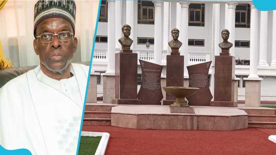"Wee" farming: Bagbin blasts Supreme Court for reversing law to legalise plant's cultivation