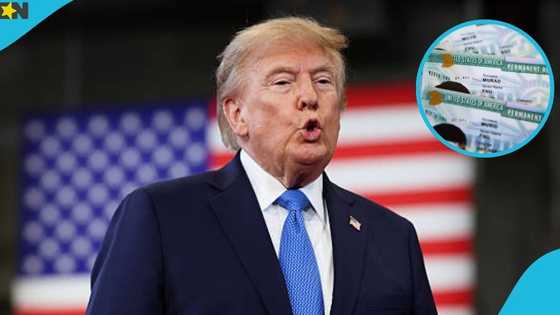 US names 5 fields that qualify foreigners for EB-1A Green Card