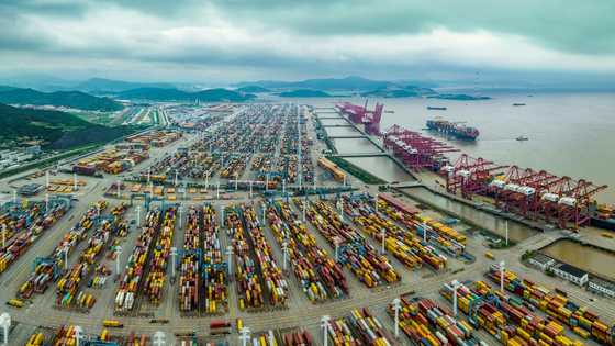 Inflation, high rates and war crimp global trade: WTO