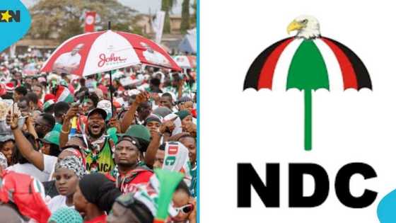 NDC issues strict warning to aspirants ahead of internal elections