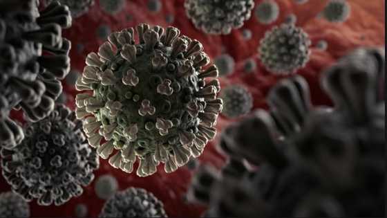 Ghana records deadly Indian COVID-19 variant; 6 positive cases confirmed so far