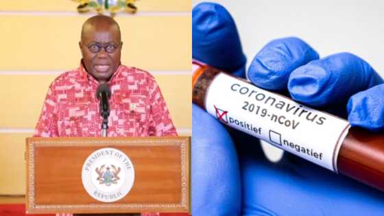 SoNA: I accept "Fellow Ghanaians" nickname - Akufo-Addo praises Ghanaian ingenuity