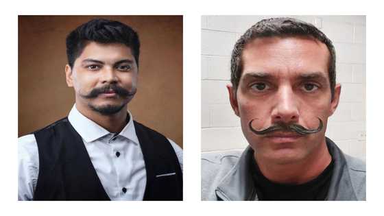 15 of the most famous handlebar moustache of all time that you'll love