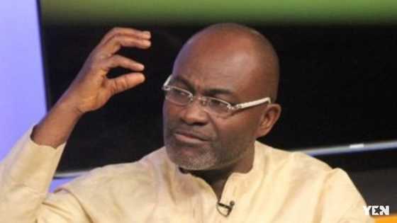 Female celebs leading #fixthecountry are broke, cheap slay queens as NPP big men don’t pay as NDC - Ken Agyapong explains