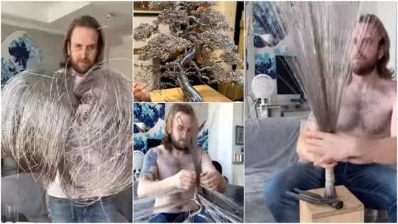 Talented man makes beautiful tree sculpture from 600 strands of stainless steel