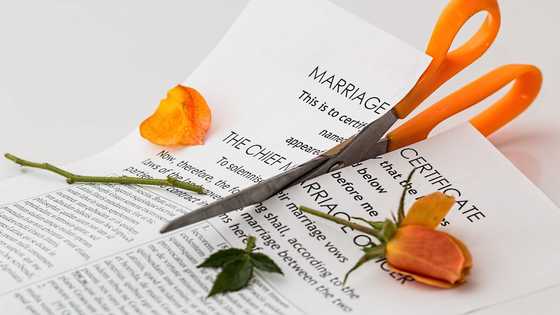 Catholic church terminates 30 marriages over fake birth certificates and deceits