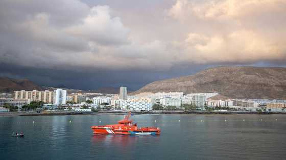 Stowaways who arrived in Spain on rudder returned to ship