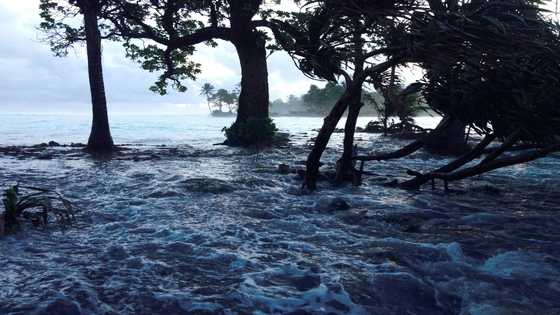 Tax oil firms to pay for climate damage, island nations say