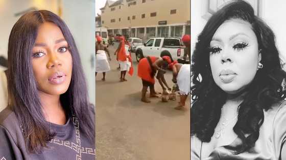 9 Ga priestess storm busy road with crate of eggs, schnapps, to invoke curses on Mzbel; video drops