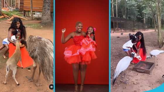 Fella Makafui and her daughter visit the Safari Valley Wildlife, video melts hearts