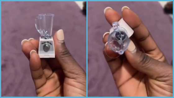 Ghanaian woman buys blender online for GH¢44 only to realise it was a cute toy upon delivery