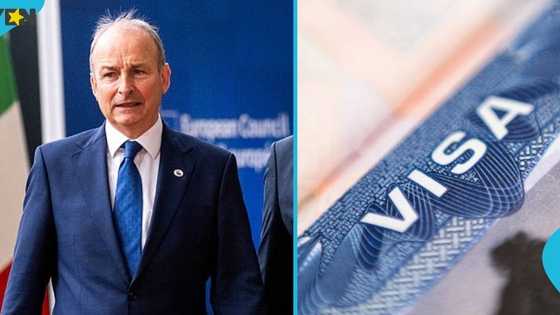 Ireland names 16 countries whose citizens are exempt from paying visa fees
