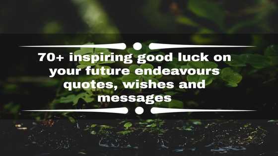 70+ inspiring good luck on your future endeavours quotes, wishes and messages