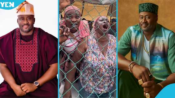 Desmond Elliot withdraws, leaves APC primary venue with supporters