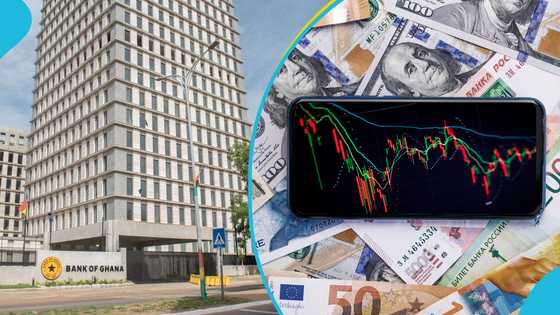 Bank of Ghana flags 10 unlicensed money transfer platforms, serves serious warning to banks