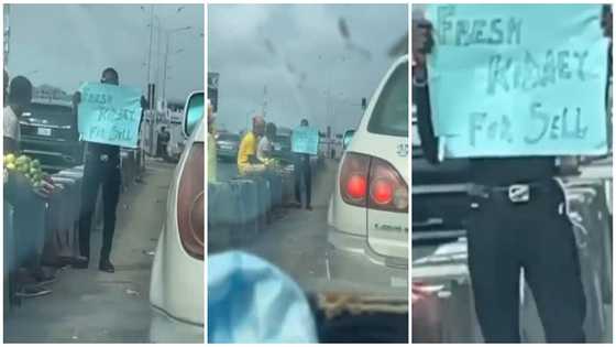 Frustrated man puts up his kidney for sale, captured in traffic with cardboard