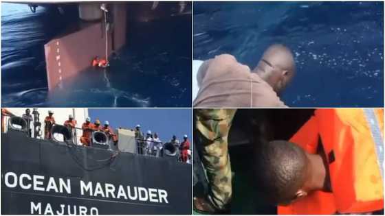 Young men who smuggled themselves into Europe-bound-ship get rescued after nearly drowning