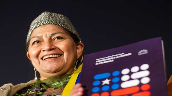 Chile president to receive draft constitution