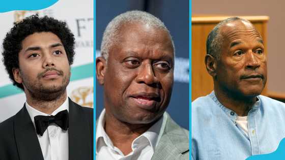 Top 24 famous black actors who have passed away recently