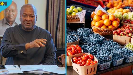 Cabinet approves GH¢100 million to purchase surplus food from farmers in Ghana