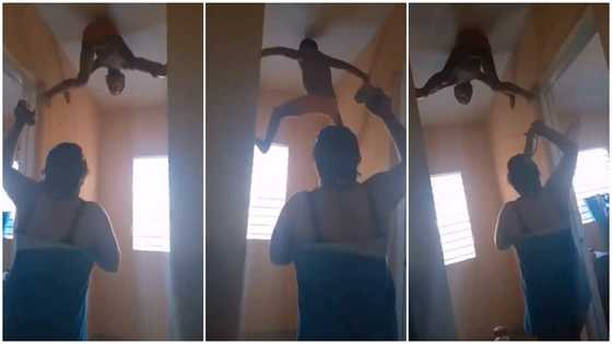 Boy sticks to wall like Spiderman to escape being dealt with by mum, she couldn't get him, video goes viral