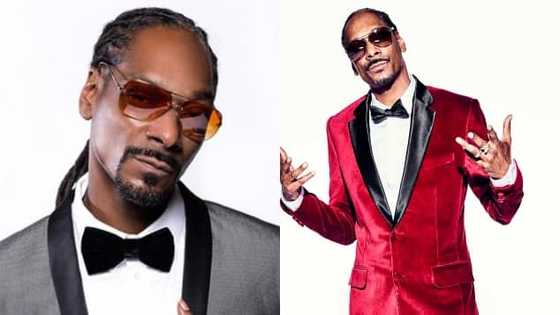 Snoop Dogg Sues Companies Selling His Festive Season Merchandise Illegally