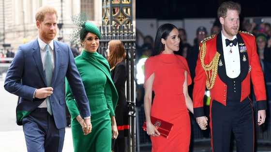 Meghan Markle and Prince Harry found life 'hard' after leaving the Royal Family