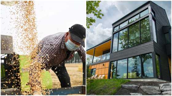 People in China are buying houses with garlics and wheat