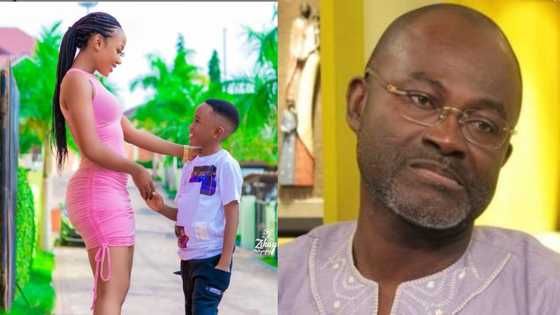 Akuapem Poloo should have been given 1 year - Ken Agyapong blasts celebs