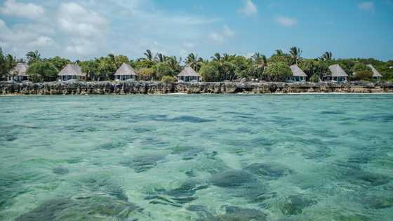Tanzania tourism suffers after election killings