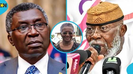 Frimpong-Boateng, Nyaho-Tamakloe & Amoako-Nuamah head to Supreme Court over delegate voting system
