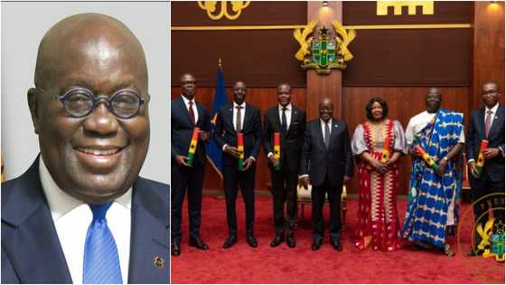 Akufo-Addo appoints new envoys to Australia, Kuwait, Lybia and 3 other states