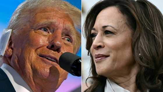 'Bending of reality': US liberals stoke political conspiracies