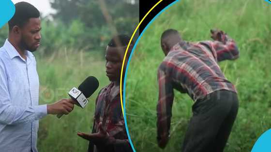 Ghanaian man Adumbire Adongo, who was weeding in a viral video, recounts how he has suffered since childhood