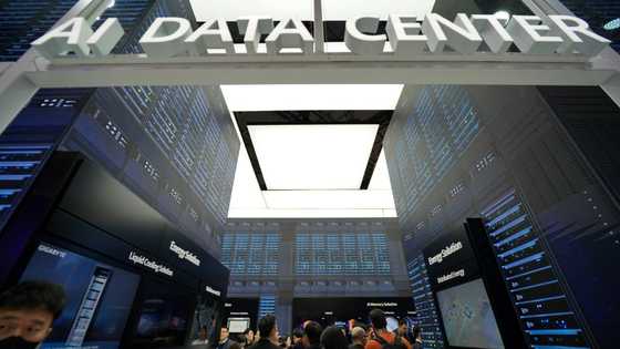 Tech giants' net zero goals verging on fantasy: researchers