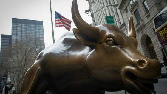 Global markets rode AI, interest rate roller coaster in 2024