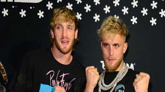 Jake and Logan Paul's net worth: Who is richer between the two brothers?
