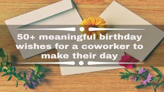 50+ meaningful birthday wishes for a coworker to make their day